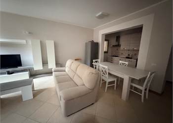 AFFITTASI BELLISSIMO APPARTAMENTO ARREDATO - VIA BRASAVOLA 32